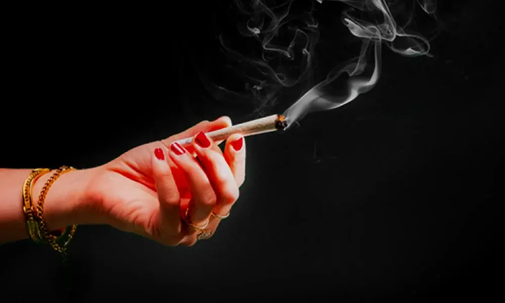 special 3297419 photo