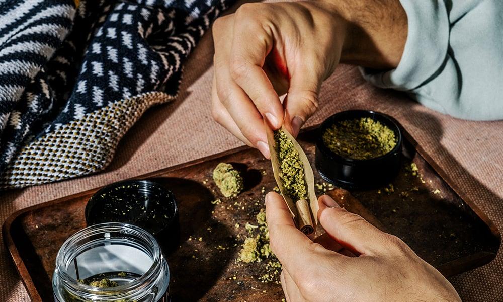 special 3114361 photo