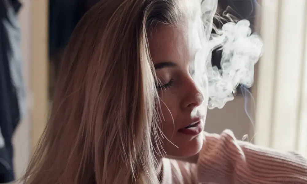 special 3372215 photo