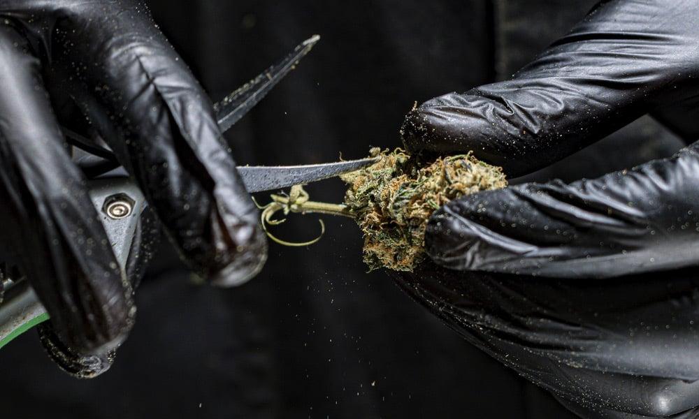 special 3332922 photo