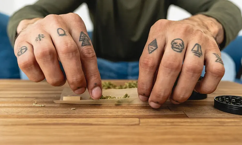 special 3259659 photo