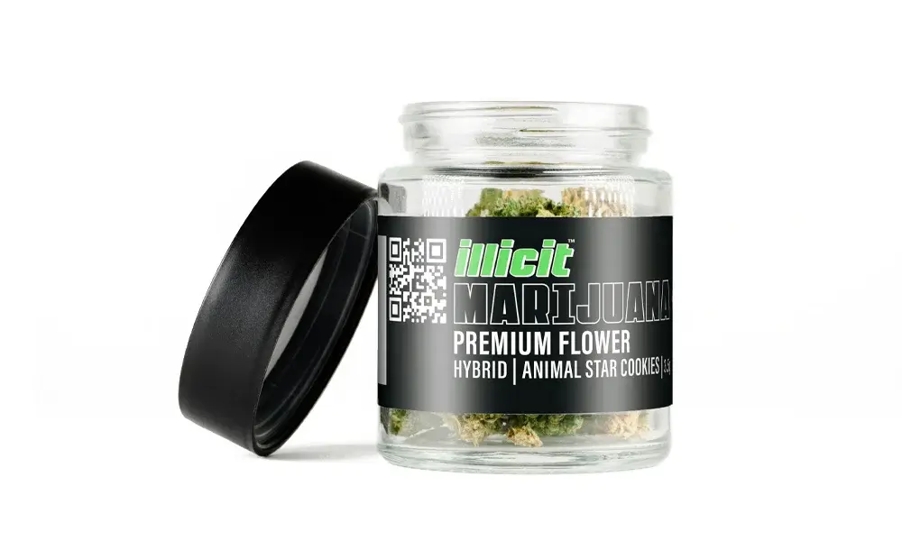 special 3261103 photo