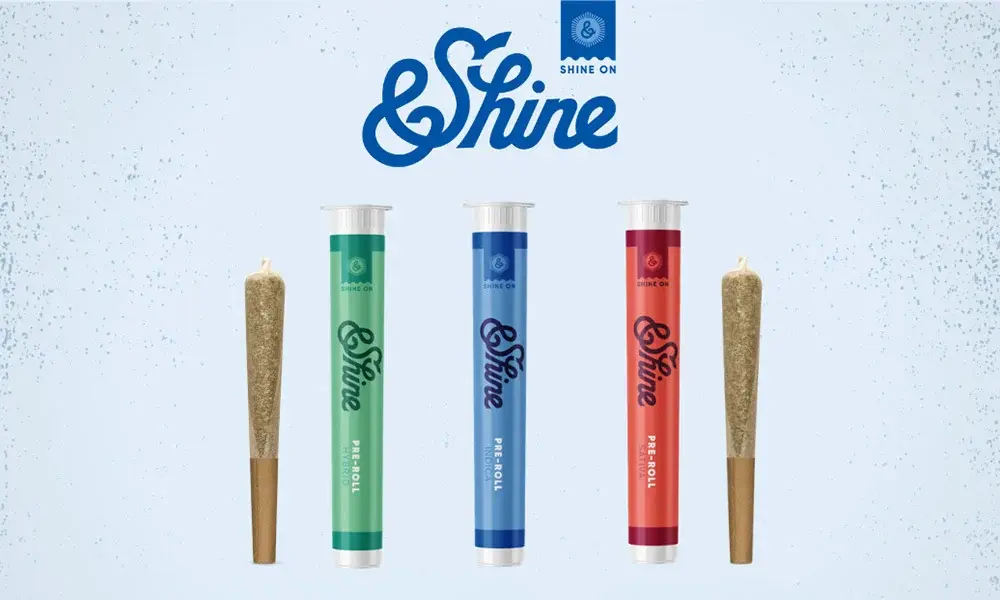 special 3237573 photo