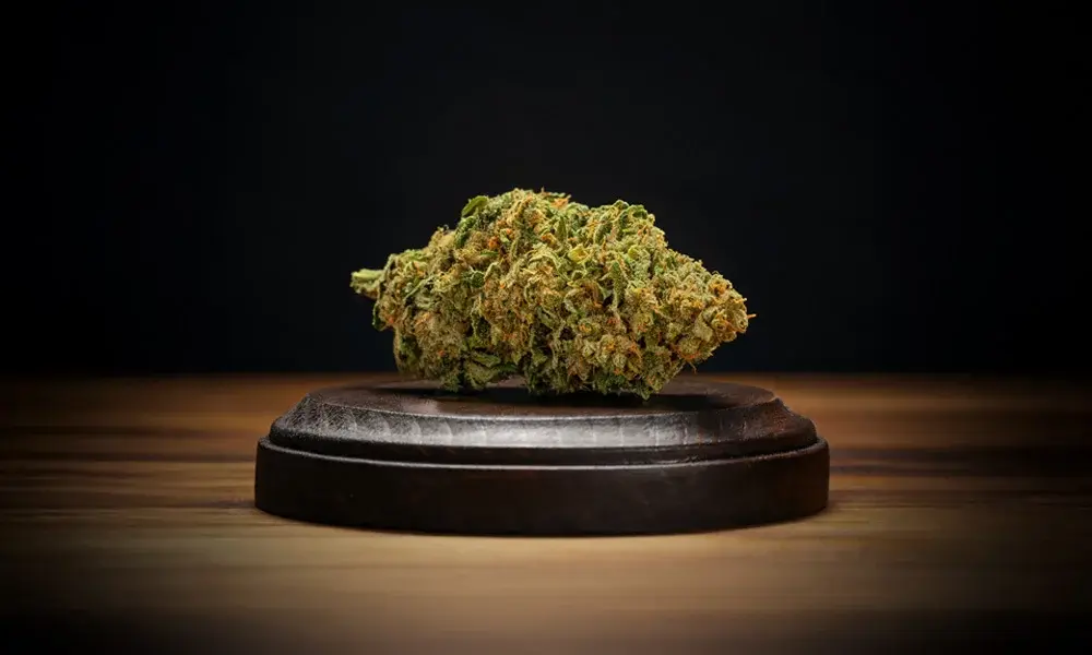 special 3297418 photo