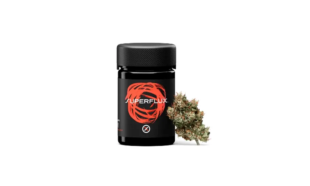 special 3329756 photo