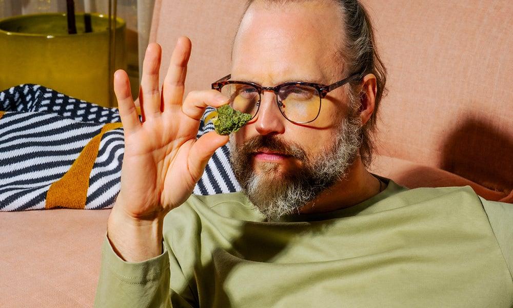 special 3372369 photo