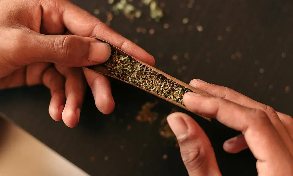 special 3311524 photo