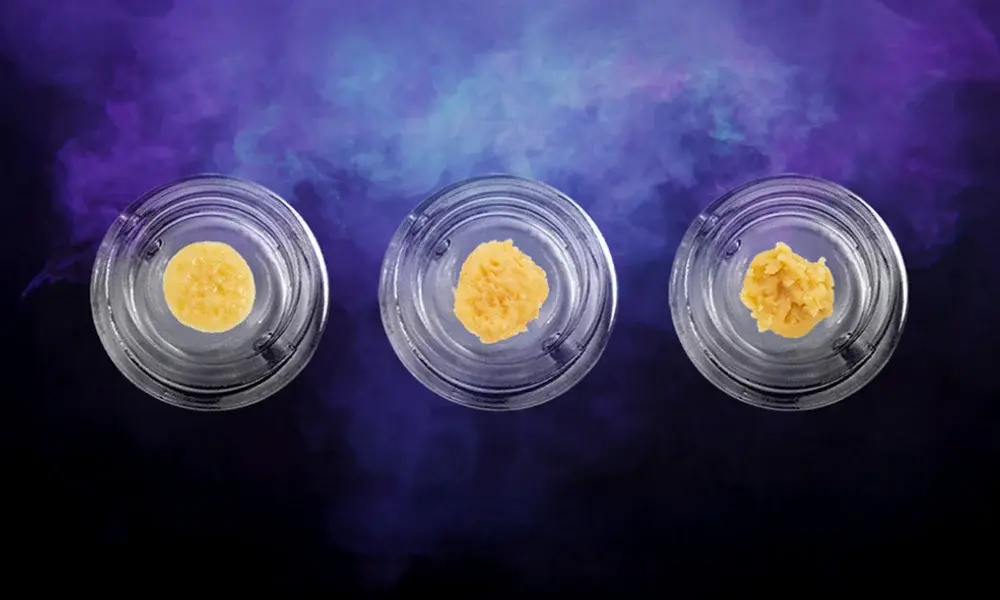 special 3309339 photo